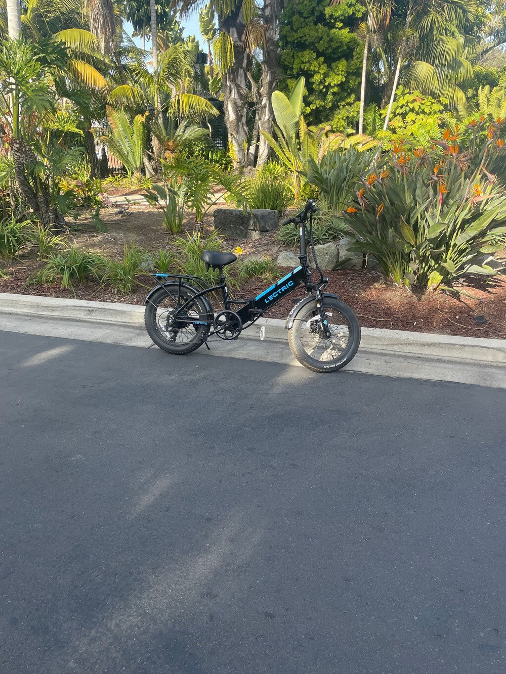 Action Sport Rentals | Electric Bike (E-bike) Rental – Club Never Bored
