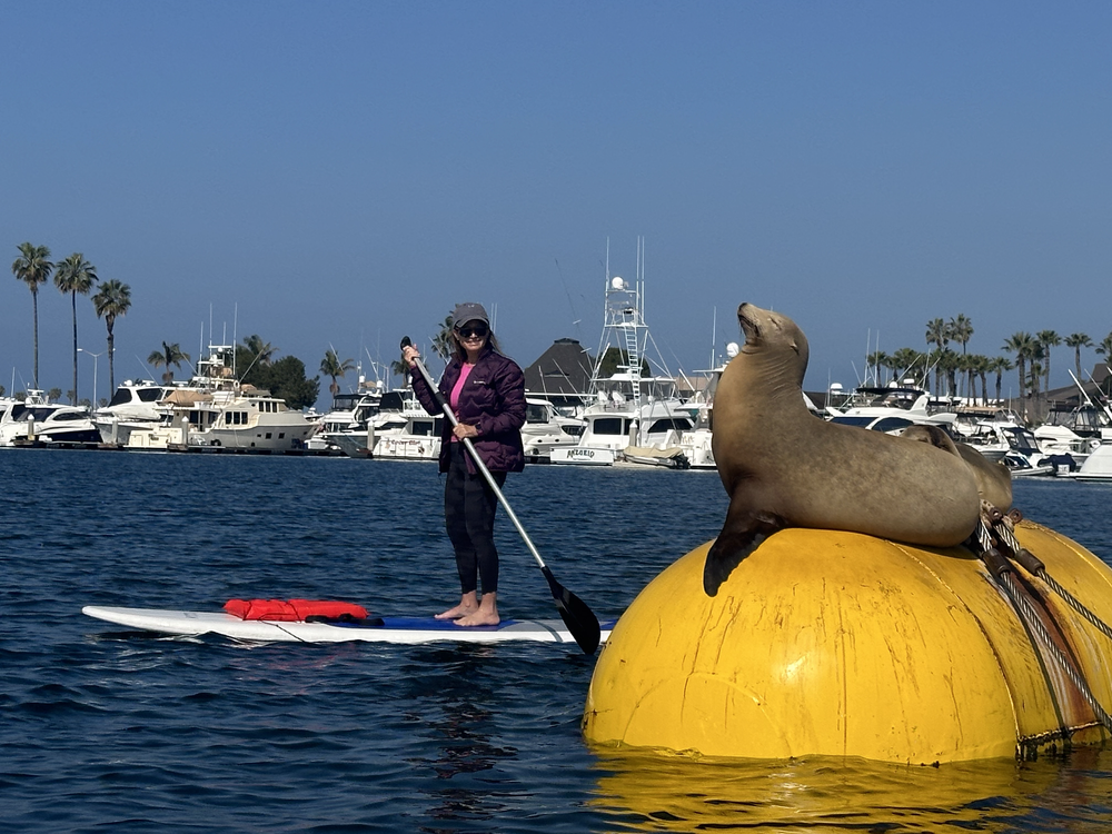 Adventure Water Sports | Stand Up Paddle Boards
