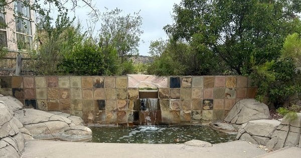 Frequency Tours | Meditation Hike & Tour 8:00AM