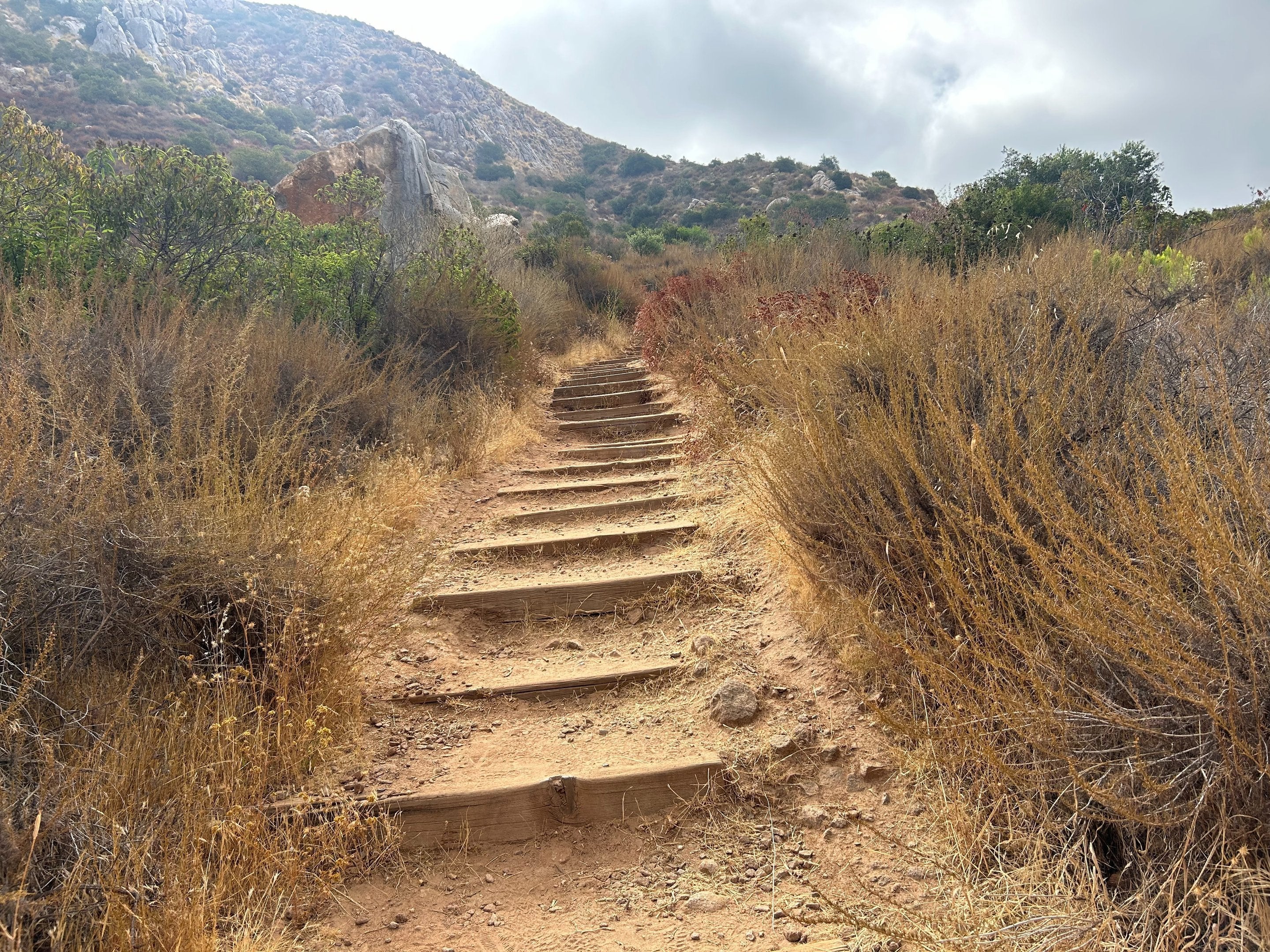 Frequency Tours | Meditation Hike & Tour 8:00AM